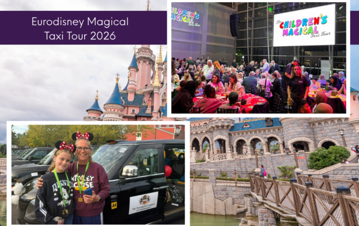 Eurodisney Magical Taxi Tour 2026